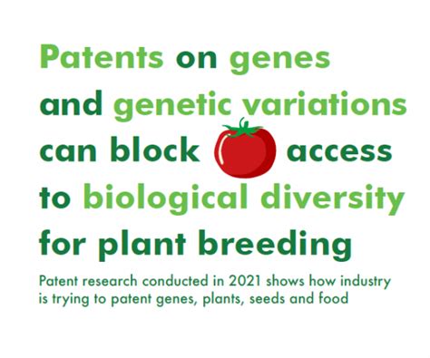 Patents On Plant Genes A Lockdown For Conventional Plant Breeding