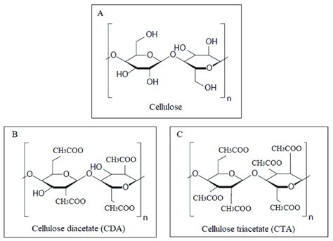 Molecular Structures Of A Cellulose B Cellulose Diacetate Cda