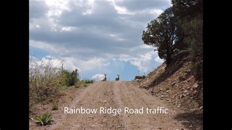 Membership has given me a plethora of benefits: Tallahassee Area Fremont County Canon City CO - YouTube
