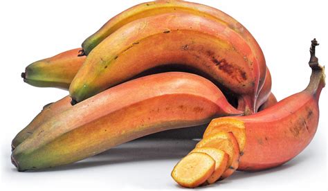 Red Bananas Information Recipes And Facts