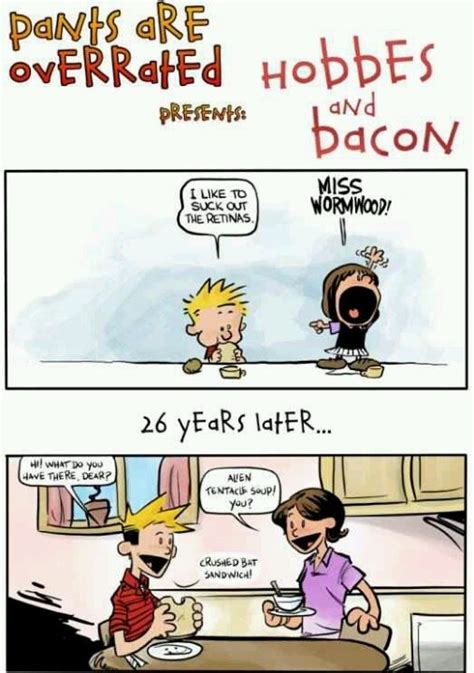 26 Years Later Hobbes And Bacon Calvin And Hobbes Comics Fun Comics