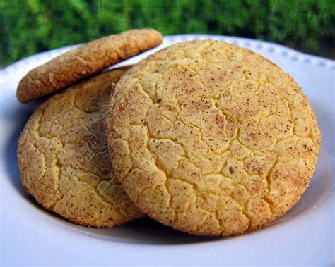 Strawberry chocolate chip cookies | sally's baking addiction. Cake Mix Snickerdoodles - Plain Chicken