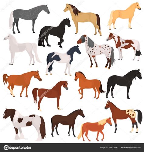 Horse Breeds Color Flat Icons Set — Stock Vector © Lynxvector 180072696