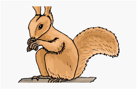 Transparent Squirrel Clip Art Clip Art Hd Png Download Kindpng