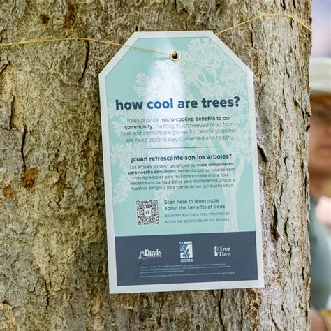 ‘spruced Up Tree Tags Inform And Engage The Community Uc Davis