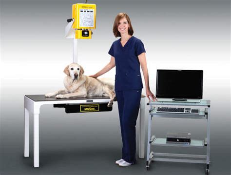 Minxray Sa100apdr Veterinary Digital Radiography