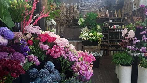 The Flower Room Shopping In Newtown Sydney