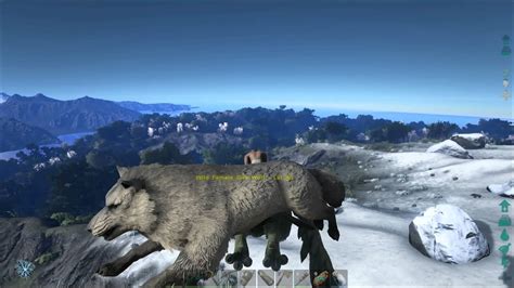 Ark Survival Evolved Valhalla Dire Wolf Als Wachhunde German Deutsch Pc