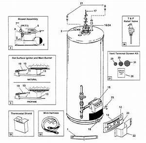 Hot Water Radiator Diagram