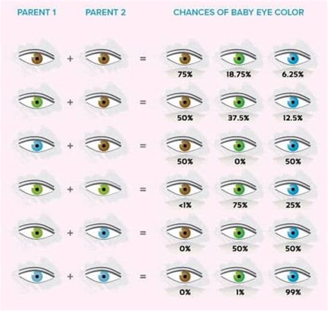 All About The Human Eye Color Chart