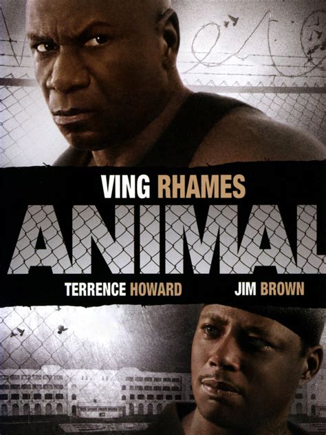 Animal 2005 Rotten Tomatoes