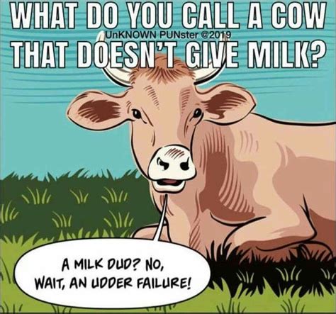 Pin By Ali Merchant On Farm Love Cows Funny Cow Puns Animal Jokes