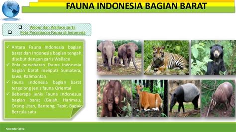 Ada beberapa jenis hewan yang dilindungi. 58+ Gambar Flora Indonesia Bagian Barat Beserta ...