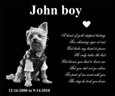 He claimed in a 1910 interview that he was born in 1869, and this is the year… he finds the grave marker, flies into a rage, wakes them up and demands to know where the cat is. Large 12"x10" Pet Headstone, tombstone Laser Engraved on ...