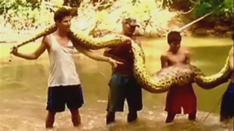 Anaconda Snake Youtube