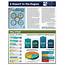 Infographic State Of St Louis STEM Workforce 2014 