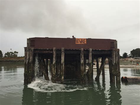 Get To Know Your Oyster | Lost Coast Outpost | Humboldt County News