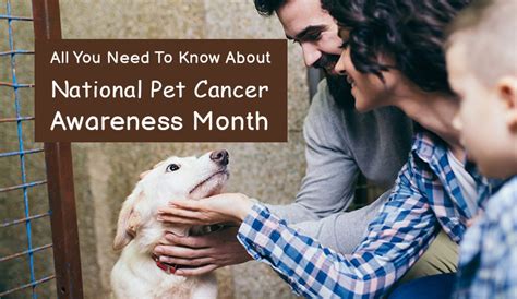 The revenue of the pet care industry is testament to the. National Pet Cancer Awareness Month - BudgetPetWorld