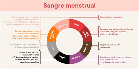 ¿qué Son Los Coágulos De Sangre Durante La Menstruación