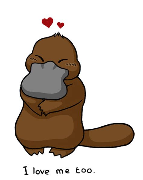 Free Cute Pictures Of Platypuses Download Free Clip Art