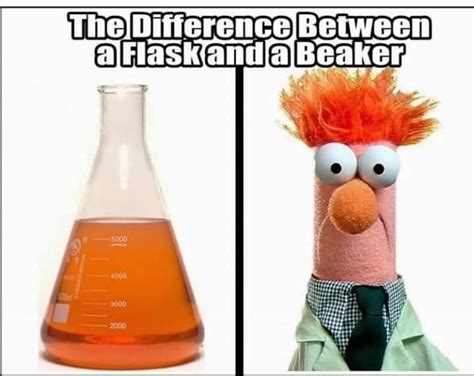 Flask And Beaker Muppets Funny Muppets Nerd Humor