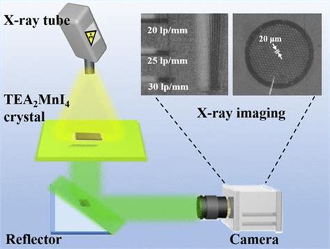 用于 X 射线成像的大面积层流 Tea2mni4 单晶闪烁体，具有令人印象深刻的高分辨率acs Applied Materials