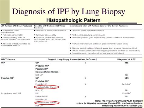 Pathology Of The Idiopathic Pulmonary Fibrosis Facts And Controversies