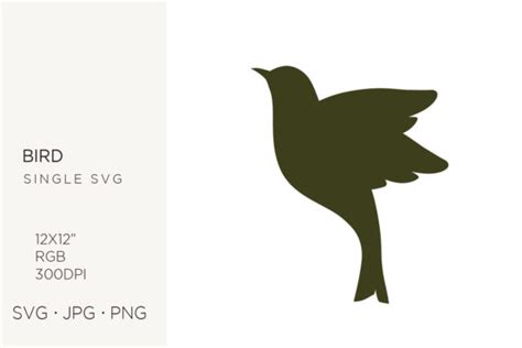 Black Bird Silhouette Clipart Graphic By Biljanacvetanovic · Creative