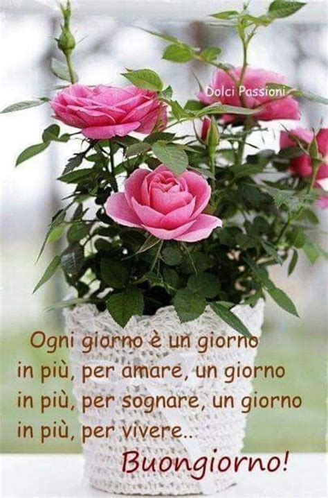 Fiori immagini gratis per facebook e whatsapp. immagini buongiorno per facebook e whatsapp (4 ...