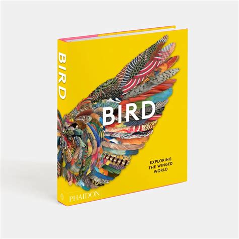 A New Book Flies Through The Vast World Of Birds From Art And Design To