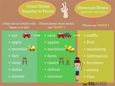 Much Vs Many Difference Between Many Vs Much With Useful Examples