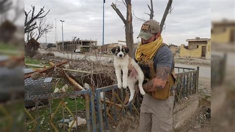 El Conmovedor Reencuentro De Un Perro Con El Soldado Que Lo Rescató En