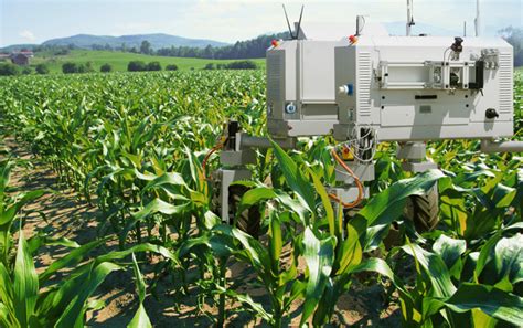 Leveraging Artificial Intelligence To Control Agriculture Robotics