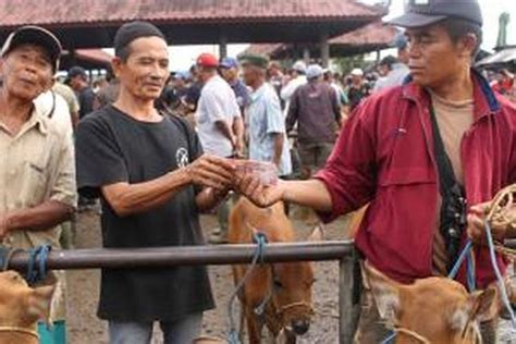 Pasar Beringkit Awal Perjalanan Sapi Bali