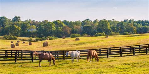 Find The Right Fencing For Your Ranch Landthink
