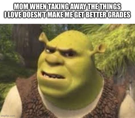 Confused Shrek Imgflip