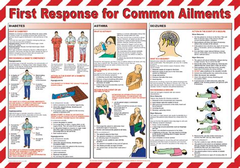 First Aid And Treatment Guidance Posters