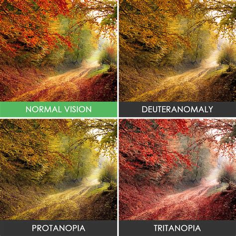 Color blindness can also be caused by accidents and other head trauma where permanent damage to the eyes occurs. You'll Be Amazed How People With Color Blindness See The ...