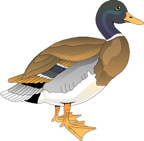 Walking Duck 2 Png Svg Clip Art For Web Download Clip