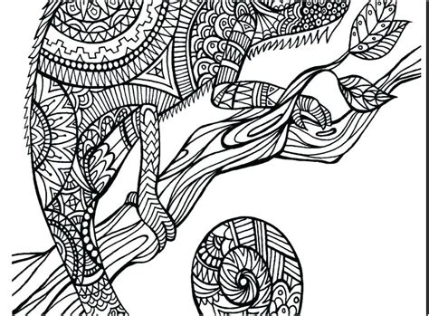 Coloring Pages Of Animals Hard At Free