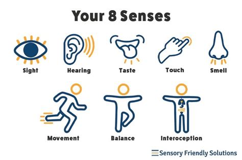 You Have Eight Senses Not Five Sensory Friendly Solutions