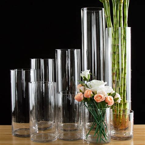 Modern Glass Vase Straight Tube Transparency Tabletop Glass Vases Tall Vase Hydroponics