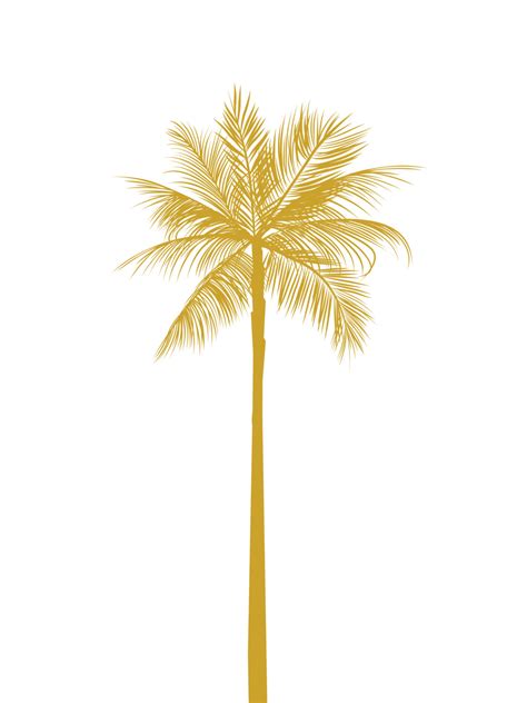 Palmetto Tree Drawing At Getdrawings Free Download