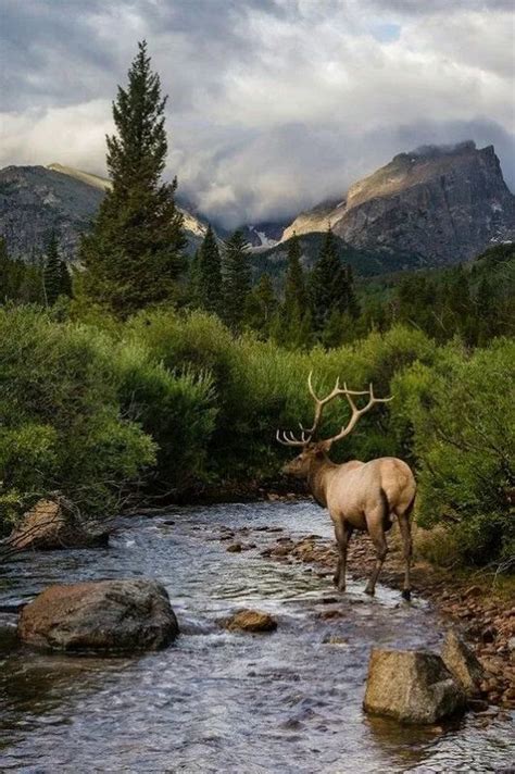 Pin By Vito Dargs On Stunning Visions Of Earth Nature Rocky Mountain