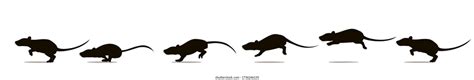 Rat Running Vector Polish Your Personal Project Or Design With These
