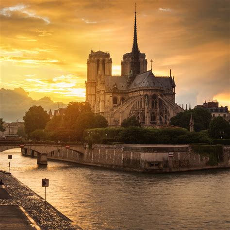 Композитор мюзикла — риккардо коччанте; Notre-Dame de Paris ravagée, les photos de l'intérieur ...