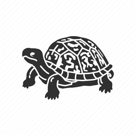 Animal, box turtle, reptiles, serpentina turtle, snapping turtle, turtle icon - Download on ...