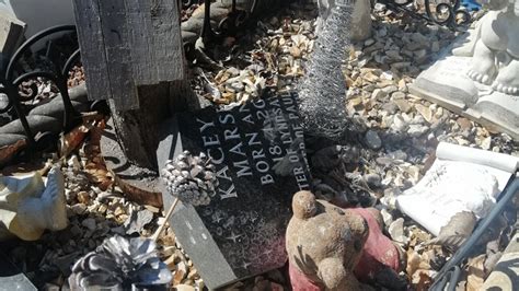Mum Overwhelmed As Vandalised Grave Donations Smash Target