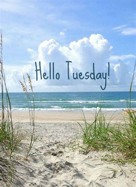 Hello Tuesday Hello Tuesday Happy Tuesday Quotes Tuesday Quotes