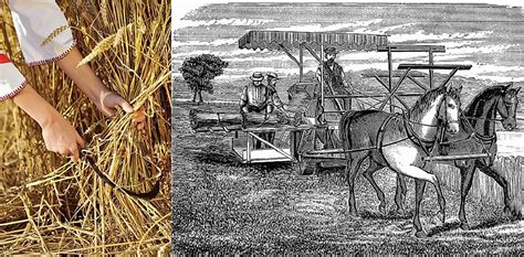 Did The British Agricultural Revolution Lead To The Industrial